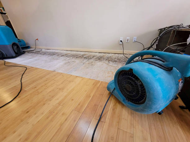Professional Basement Flood Cleanup technician working in Fremont, IN